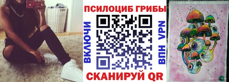 Галлюциногенные грибы Psilocybe  Сатка 
