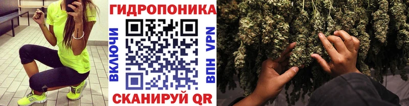Каннабис гибрид  Сатка 